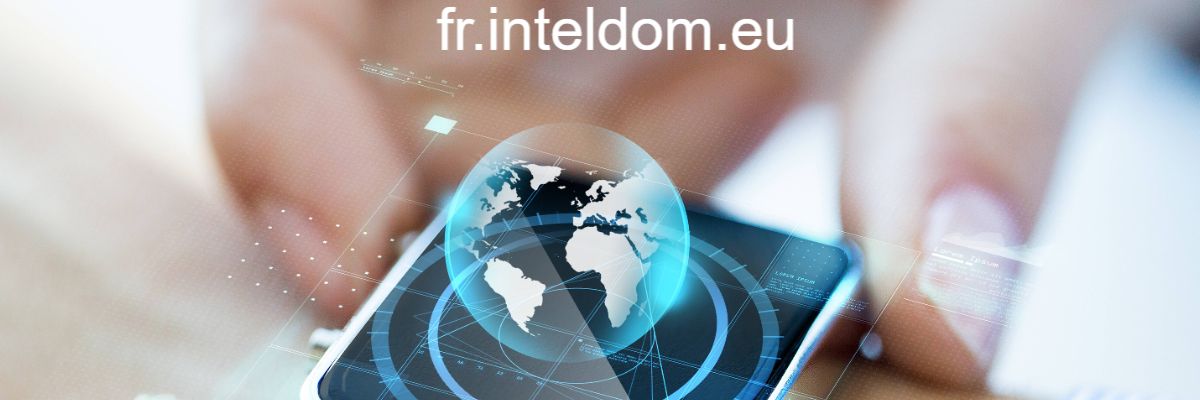 fr.inteldom.eu